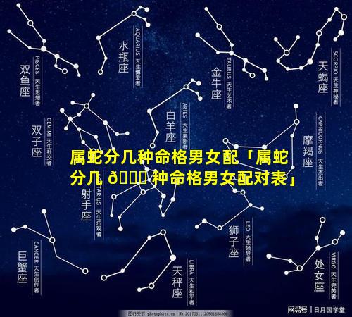 属蛇分几种命格男女配「属蛇分几 🐘 种命格男女配对表」